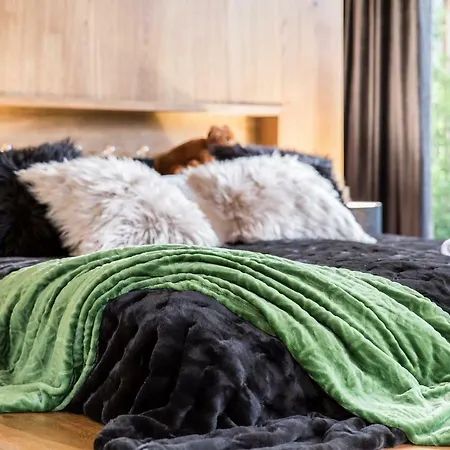Nowy Komfortowy Apartament&spa Grizzly De Lux Apartament Zakopane